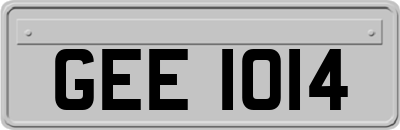 GEE1014
