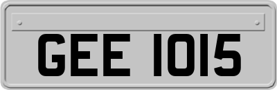 GEE1015