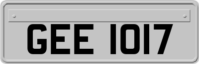 GEE1017