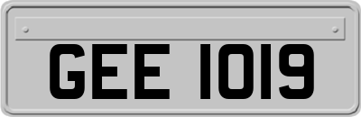 GEE1019
