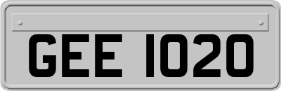 GEE1020