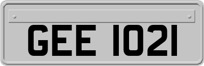 GEE1021