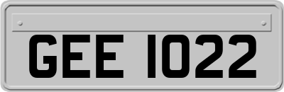 GEE1022