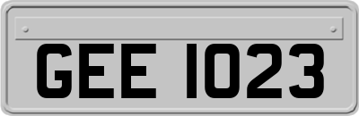 GEE1023