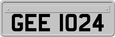GEE1024
