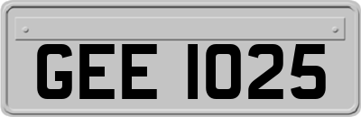 GEE1025