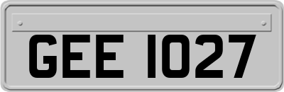 GEE1027