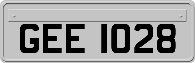 GEE1028