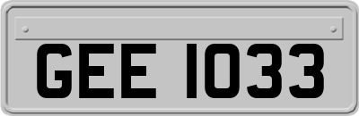 GEE1033