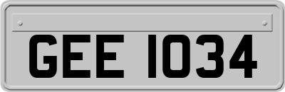 GEE1034