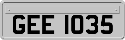 GEE1035