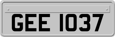 GEE1037