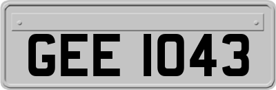 GEE1043
