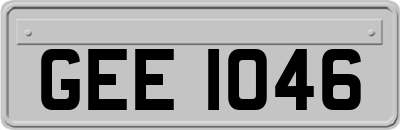 GEE1046