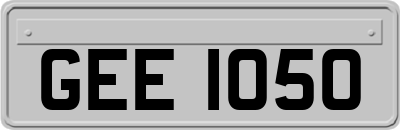 GEE1050