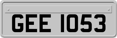 GEE1053