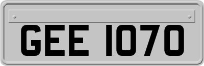 GEE1070