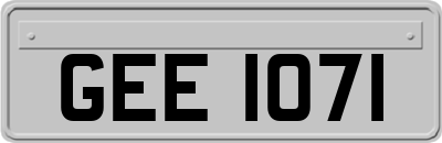 GEE1071