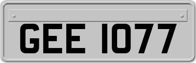 GEE1077