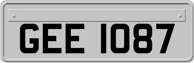GEE1087