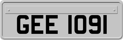 GEE1091