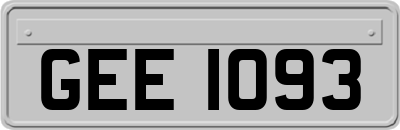 GEE1093