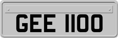 GEE1100
