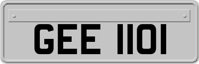 GEE1101