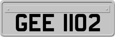GEE1102