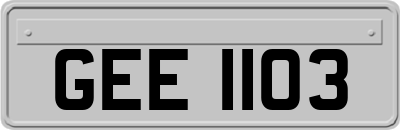 GEE1103
