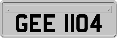 GEE1104