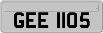 GEE1105