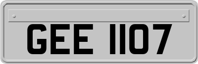 GEE1107