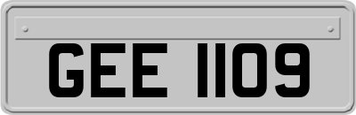 GEE1109