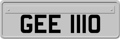 GEE1110