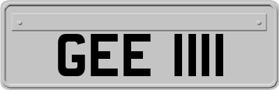 GEE1111
