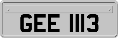 GEE1113