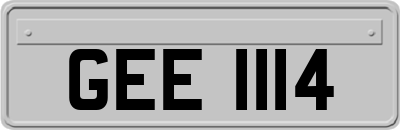GEE1114