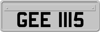 GEE1115