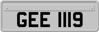 GEE1119