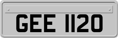 GEE1120