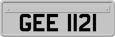 GEE1121