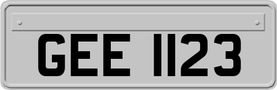 GEE1123