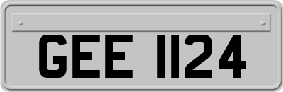 GEE1124