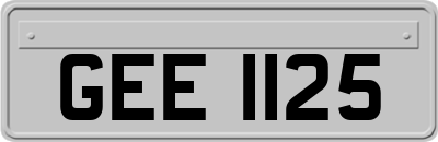 GEE1125