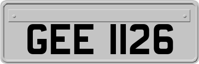 GEE1126