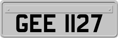 GEE1127
