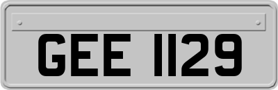 GEE1129