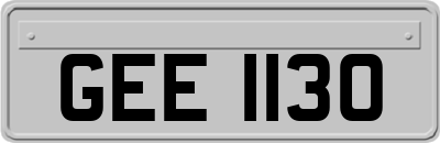GEE1130