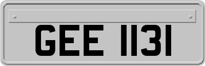 GEE1131